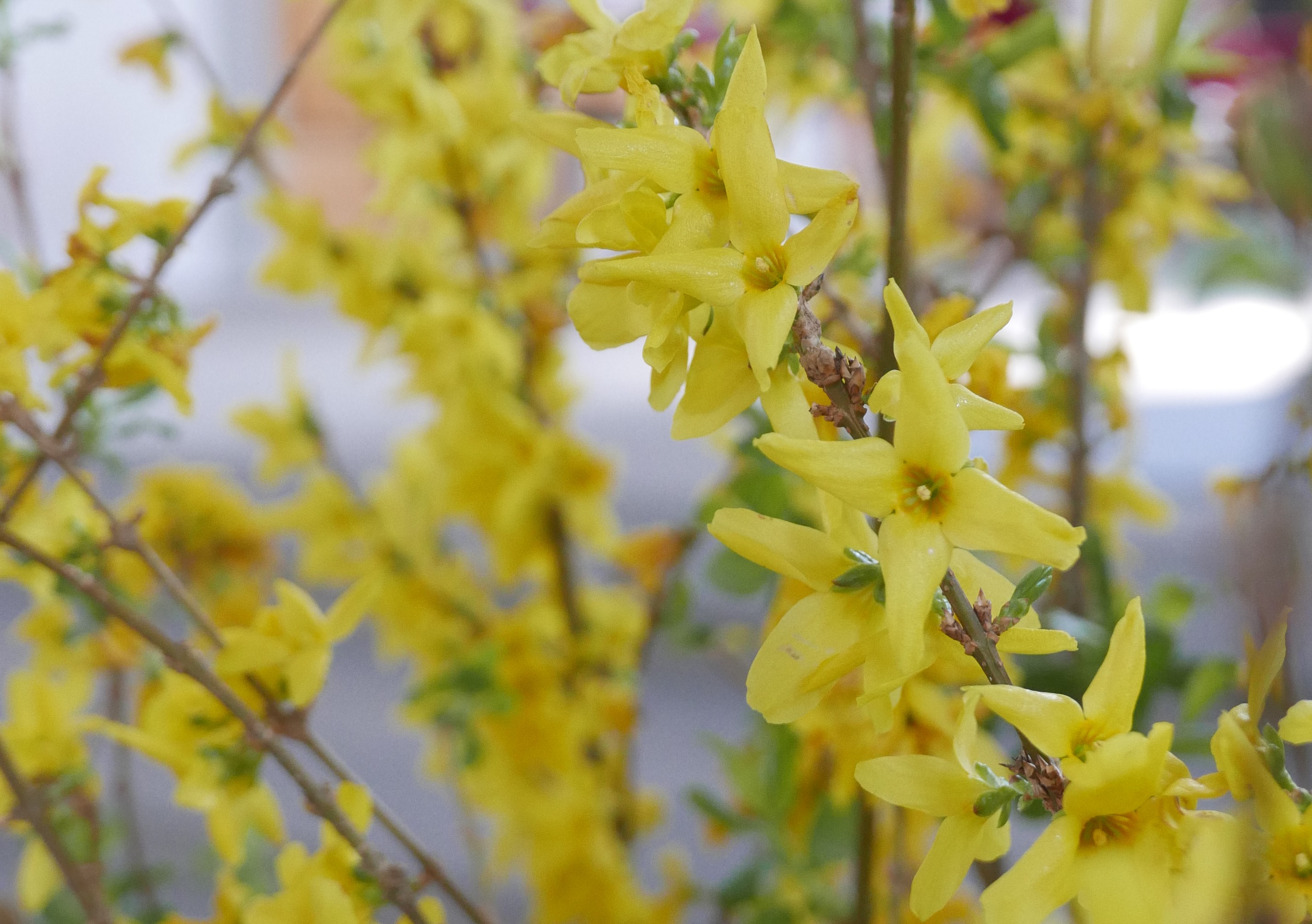 Pastoralraumsekretariat - Öffnungszeiten während den Frühlingsferien